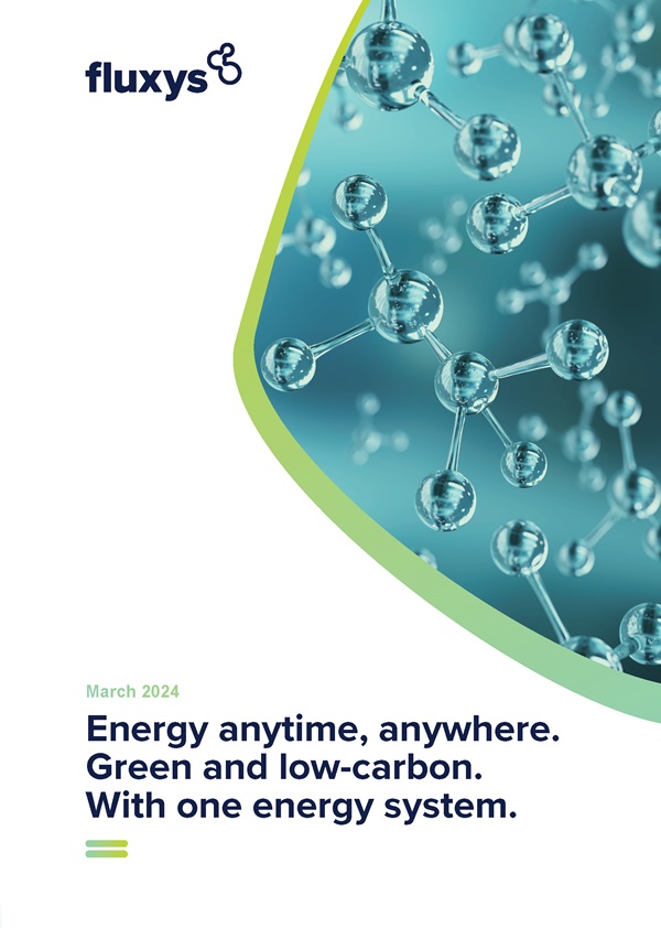 Fluxys vision for an integrated energy system